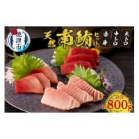 ふるさと納税 マグロ 静岡県 焼津市 a40-076　『鮪の魚二』天然南鮪大トロ中トロ赤身約800gセット | ふるさとチョイス