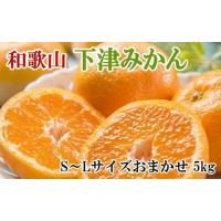 ふるさと納税 果物類 みかん 和歌山県 印南町 ［産直・秀品］和歌山下津みかん約5kg（S〜Lサイズおまかせ） 2026年11月中旬頃より順次発送［TM133］ | ふるさとチョイス