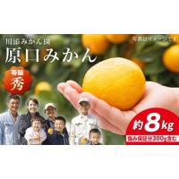 ふるさと納税 果物類 みかん 長崎県 西海市  11月下旬より配送 原口みかん 秀品／みかん 約8kg（傷み保証分300g含む） 川添みかん園 CCT003 みかん ミカン 西… | ふるさとチョイス