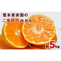 ふるさと納税 果物類 みかん 熊本県 玉東町 ご家庭用『菅本果実園』のご家庭用みかん 約5kg(2S-2Lサイズ)《11月中旬-1月中旬頃出荷》 フルーツ 秋 旬 日付指定… | ふるさとチョイス