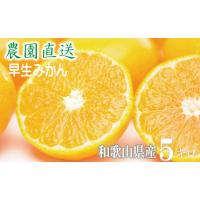 ふるさと納税 果物類 みかん 和歌山県 海南市 早生みかん 約5kg 大小混合 《ご家庭用》 和歌山県産 農園直送 まごころ産直みかん 北海道・沖縄県・一部離島 配… | ふるさとチョイス