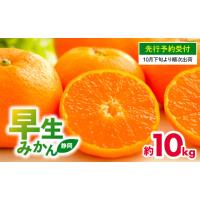 ふるさと納税 果物類 みかん 静岡県 藤枝市  先行予約 : 2026年10月下旬〜発送予定 早生 みかん 10kg 静岡県産 果物 国産 フルーツ 柑橘 蜜柑 ミカン 大小 ミ… | ふるさとチョイス