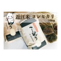 近江米コシヒカリ 30Kgのおすすめ人気商品一覧 通販 - Yahoo