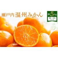 ふるさと納税 果物類 みかん 香川県 高松市  先行予約 瀬戸内温州みかん　小粒サイズ　約5kg 2026年10月中旬〜2027年1月下旬配送 ｜柑橘 みかん 温州みかん ミ… | ふるさとチョイス