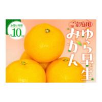 ふるさと納税 果物類 みかん 香川県 高松市 ご家庭用 ゆら早生 みかん 約10kg 2026-9月下旬〜2026-11月上旬配送 | ふるさとチョイス