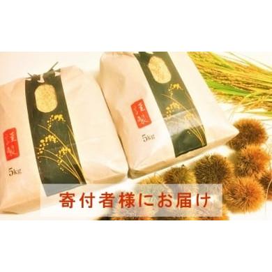 令和6年　滋賀県産　コシヒカリ 30kg 近江米 楽天市場】近江米30kgの通販