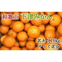 ふるさと納税 果物類 みかん 和歌山県 美浜町  訳あり 和歌山下津みかん10kgご家庭用向け(サイズ混合) | ふるさとチョイス