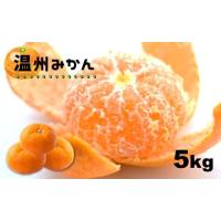 ふるさと納税 果物類 みかん 熊本県 玉名市 温州みかん 5kg 熊本玉名・みかん専門店より | フルーツ 果物 くだもの 柑橘 ミカン みかん 玉名 たまな 熊本県 玉… | ふるさとチョイス
