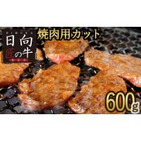 ふるさと納税 宮崎県 新富町 「日向匠の牛RED」焼肉カット600g【B444】 | ふるさとチョイス