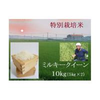 ふるさと納税 三重県 多気町 【１０月発送】令和６年産新米  特別栽培米 ミルキークイーン 10kg | 安心 精米 もちもちした食感 こだわりの農法　TC‐0410 | ふるさとチョイス