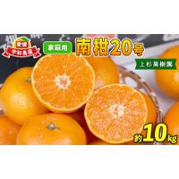 ふるさと納税 果物類 みかん 愛媛県 宇和島市 愛媛みかん 南柑20号 10kg S~2L サイズ 家庭用 上杉果樹園 先行予約 温州蜜柑 温州みかん mikan 愛媛ミカン 愛媛… | ふるさとチョイス