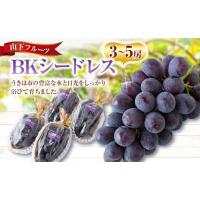 専用ページ 鉢でも楽しめるぶどう ＢＫシードレス 最大10苗 鉢入り BKシードレス 約1.2m 苗木 大苗 果樹 規格販売 ぶどうの木