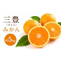 ふるさと納税 みかん・柑橘類 香川県 三豊市 三豊(みとよ)みかん 約5kg | ふるさとチョイス