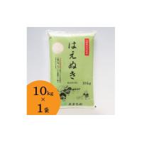 ふるさと納税 米 はえぬき 山形県 庄内町 JAあまるめ 山形県庄内町産 はえぬき10kg×1袋 | ふるさとチョイス