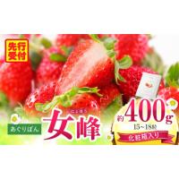 ふるさと納税 いちご 香川県 三木町 あぐりぼん　いちご「女峰」 贈答用 いとしきみ化粧箱　約400g（15〜18粒）| いちご 果物 フルーツ デザート ストロベリー… | ふるさとチョイス
