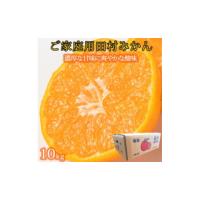 ふるさと納税 果物類 みかん 和歌山県 美浜町  先行予約 ご家庭用訳あり 田村みかん １０kg ふるさと納税 ミカン | ふるさとチョイス