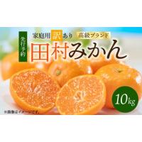ふるさと納税 果物類 みかん 和歌山県 湯浅町 G7053_ 2026年11月下旬より発送 訳あり 田村みかん 10kg 高級ブランド 色づき 糖度 甘さ 酸味 バランス コク 温… | ふるさとチョイス