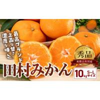 ふるさと納税 果物類 みかん 和歌山県 湯浅町 BD7005_01_ 1月出荷 有田の高級みかん 田村みかん 秀品 たっぷり 10kg ギフトにもオススメ (S〜Lサイズおまかせ)… | ふるさとチョイス