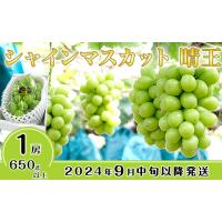 ふるさと納税 岡山県 井原市 シャインマスカット晴王1房【2024年9月中旬〜10月下旬発送予定】（いばら愛菜館） | ふるさとチョイス