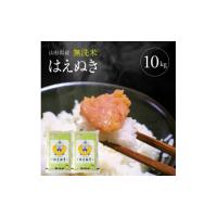 ふるさと納税 無洗米 山形県 酒田市 令和7年産 無洗米 はえぬき　10kg(5kg×2袋) TO SC0706 | ふるさとチョイス