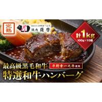 ふるさと納税 牛肉 ハンバーグ 大阪府 茨木市 特選和牛〈焼肉薩摩 完熟平野幸一之牛〉ハンバーグ10個_ハンバーグ 和牛 特選 黒毛和牛 1kg 10個 冷凍 人気 おす… | ふるさとチョイス