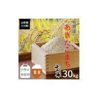 ふるさと納税 山形県 三川町 【令和5年産・玄米発送】坂農園の厳選米！あきたこまち玄米30kg  玄米【令和5年産】 | ふるさとチョイス