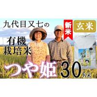 つや姫 30kgの商品一覧 通販 - Yahoo!ショッピング つや姫 30kgの商品一覧 通販 - Yahoo!ショッピング