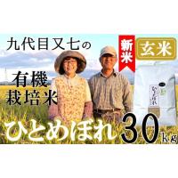 ひとめぼれ 玄米 30kg(食品)の商品一覧 通販 - Yahoo!ショッピング ひとめぼれ 玄米 30kg(食品)の商品一覧 通販 - Yahoo!ショッピング