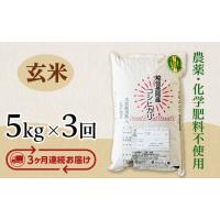 ふるさと納税 新潟県 長岡市 E1-14【3ヶ月連続お届け】新潟県長岡産コシヒカリ玄米5kg | ふるさとチョイス