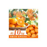 ふるさと納税 果物類 みかん 和歌山県 高野町 完熟有田みかん　10kg［2026年11月下旬以降発送］［先行予約］［UT11］ | ふるさとチョイス