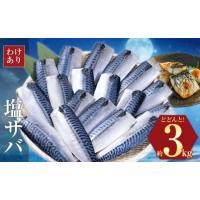 ふるさと納税 旬の鮮魚等 千葉県 勝浦市 訳あり 塩サバ 3kg 海鮮 無添加《90日以内に出荷予定(土日祝除く)》切り身 千葉県 勝浦市 株式会社西川 塩 さば サバ … | ふるさとチョイス