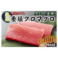 ふるさと納税 マグロ 鹿児島県 瀬戸内町 奄美大島産養殖クロマグロ 2柵セット 400g以上 中トロ 赤身 冷凍 マグロ まぐろ 黒マグロ クロマグロ 本マグロ 養殖マ… | ふるさとチョイス