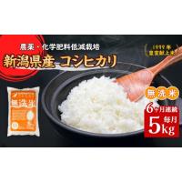 ふるさと納税 無洗米 新潟県 胎内市 16-M56 6ヶ月連続お届け 新潟県胎内市産コシヒカリ 無洗米 5kg | ふるさとチョイス