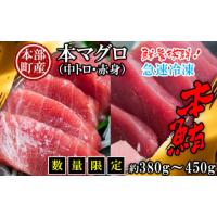 ふるさと納税 マグロ 沖縄県 本部町 本部町産　本マグロ（赤身・中トロ）セット 　約380g〜450g 鮪 本マグロ 送料無料 ギフト グルメ お祝い 贈答品 プレゼン… | ふるさとチョイス