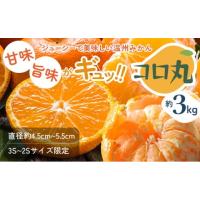 ふるさと納税 果物類 みかん 香川県 観音寺市 2026年秋よりお届け 瀬戸内　小みかん コロ丸　約3kg 果物類 柑橘類 フルーツ | ふるさとチョイス