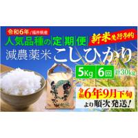 ふるさと納税 福井県 越前町 【令和6年産新米・先行予約】定期便 ≪6ヶ月連続お届け≫ 減農薬米こしひかり 5kg × 6回（計30kg） 令和6年 福井県産 人気品種の… | ふるさとチョイス