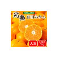 ふるさと納税 果物類 みかん 和歌山県 湯浅町 BG6108n_濃厚完熟 有田みかん 5kg 大玉 家庭用 送料無料 | ふるさとチョイス