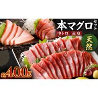 ふるさと納税 マグロ 高知県 室戸市 厳選天然本マグロ中トロ 赤身 食べきり セット ４００ｇ 本まぐろ 100% 冷凍 刺身 海鮮 丼 父の日 | ふるさとチョイス