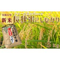 ふるさと納税 千葉県 鴨川市 ドメーヌKurisanの『長狭米こしひかり』６kg　[0010-0231] | ふるさとチョイス