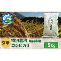 ふるさと納税 福井県 越前市 【令和5年度新米 玄米】特別栽培 越前市産コシヒカリ 5kg | ふるさとチョイス