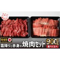 ふるさと納税 宮崎県 宮崎市 宮崎牛 霜降りと赤身 焼肉 セット 900g_M109-015 | ふるさとチョイス