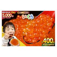 ふるさと納税 いくら 宮城県 気仙沼市 味付いくら 鱒卵 200g×2パック かわむら家 宮城県 気仙沼市 20564994 いくら 海鮮 魚介類 イクラ 醤油漬け 鱒 鱒いくら | ふるさとチョイス