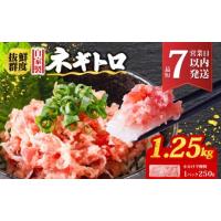 ふるさと納税 魚貝類 愛媛県 松山市 ネギトロ 1.25kg (250g×5パック) 冷凍 小分け | 手作り まぐろ 鮪 手詰め ネギトロ ねぎとろ まぐろたたき まぐろのたた… | ふるさとチョイス