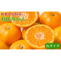 ふるさと納税 果物類 みかん 和歌山県 和歌山市  秀品 和歌山有田みかん約4kg(2Lサイズ) 2026年11月中旬頃より順次発送［TM199］ | ふるさとチョイス
