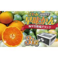 ふるさと納税 果物類 みかん 福岡県 福津市  2026年9月中旬より順次発送 JAむなかたブランドみかん 姫神 （早味かん）約3kg G2280 | ふるさとチョイス