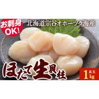 ふるさと納税 魚貝類 ホタテ 北海道 稚内市 帆立 生 貝柱 1kg 良玉 海鮮 刺身 | ふるさとチョイス
