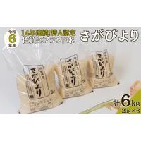 ふるさと納税 佐賀県 佐賀市 令和5年佐賀県産さがびより白米6kg：A095-004 | ふるさとチョイス