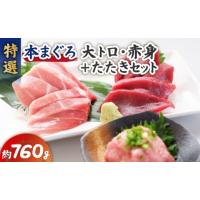 ふるさと納税 マグロ 神奈川県 三浦市 特選本まぐろ 大トロ赤身＋たたきセット　M006-007 | ふるさとチョイス