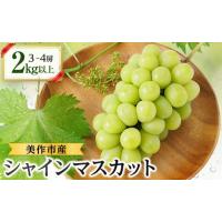 ふるさと納税 岡山県 美作市 美作市産シャインマスカット3〜4房　2kg以上【1147823】 | ふるさとチョイス