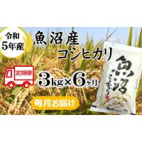 ふるさと納税 新潟県 小千谷市 BE44P97 令和5年産 魚沼産コシヒカリ定期便 3kg×6回【毎月お届け】和紙製P袋（小千谷米穀）白米 魚沼 米 定期便 | ふるさとチョイス